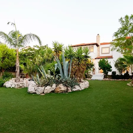 Nicole's Garden *